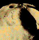 ماه مریخ، فوبوس