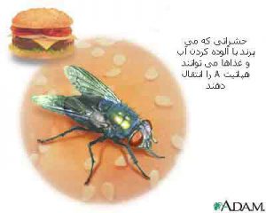 هپاتیت A