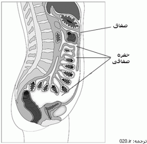 صفاق و حفره صفاقی
