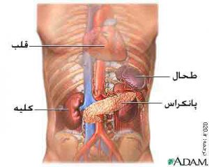 محل قرارگیری پانکراس