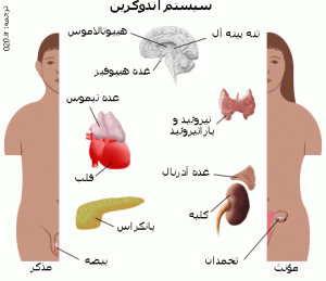 دستگاه درون ریز