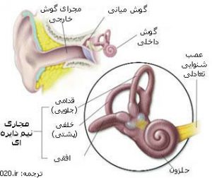 مجاری نیمدایره