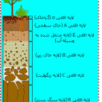 انواع خاک انواع خاک