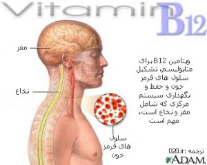 خواص ویتامین B12