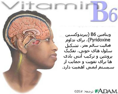 کارکرد ویتامین B6