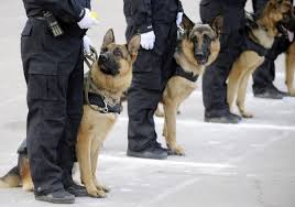 سگ های پلیس