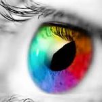 شرم سمی چیست؟ شرم سمی چیست؟