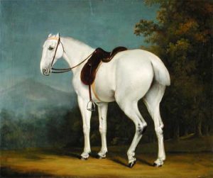 نقاشی اسب یک بانو