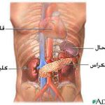مرور کلی بر دیابت نوع دو مرور کلی بر دیابت نوع دو